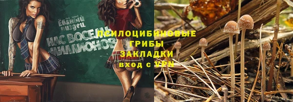 Альфа ПВП Корсаков