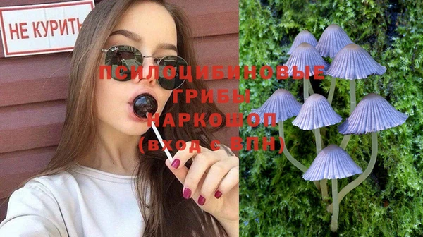 Альфа ПВП Корсаков
