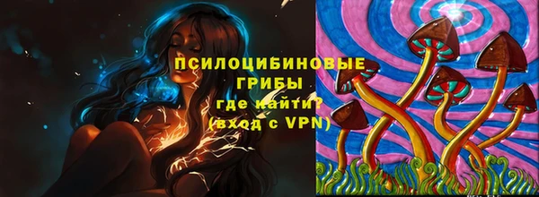не бодяженный Коряжма