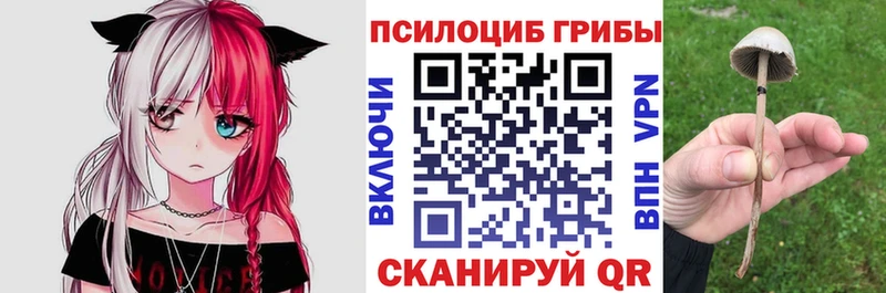 Галлюциногенные грибы MAGIC MUSHROOMS Югорск