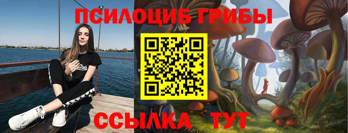 Псилоцибиновые грибы мицелий Югорск
